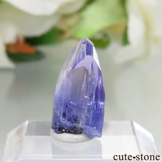 󥶥˥ ˻ 󥶥ʥȤθ No.42μ̿2 cute stone