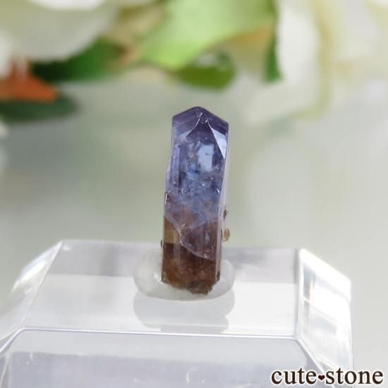 󥶥˥ ˻ 󥶥ʥȤθ No.43μ̿0 cute stone