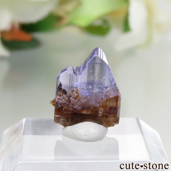 󥶥˥ ˻ 󥶥ʥȤθ No.43μ̿1 cute stone