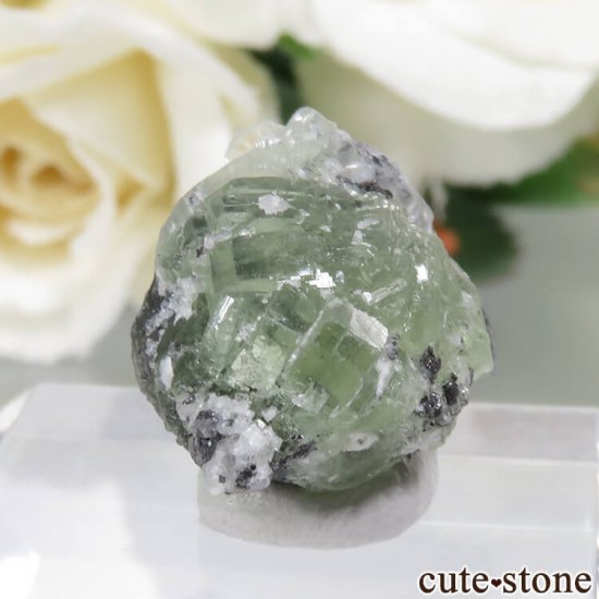 󥶥˥ ˻ 󥶥ʥȡץʥȤθ No.44μ̿0 cute stone