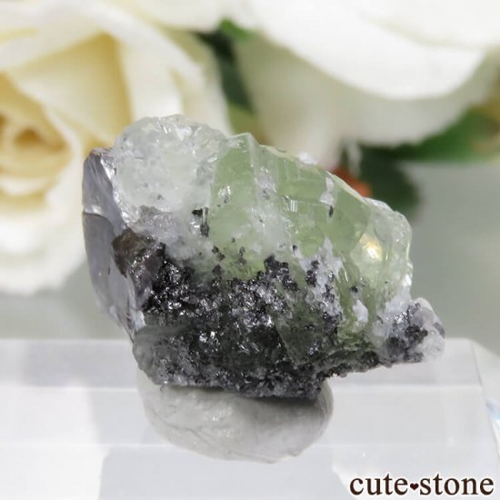 󥶥˥ ˻ 󥶥ʥȡץʥȤθ No.44μ̿1 cute stone