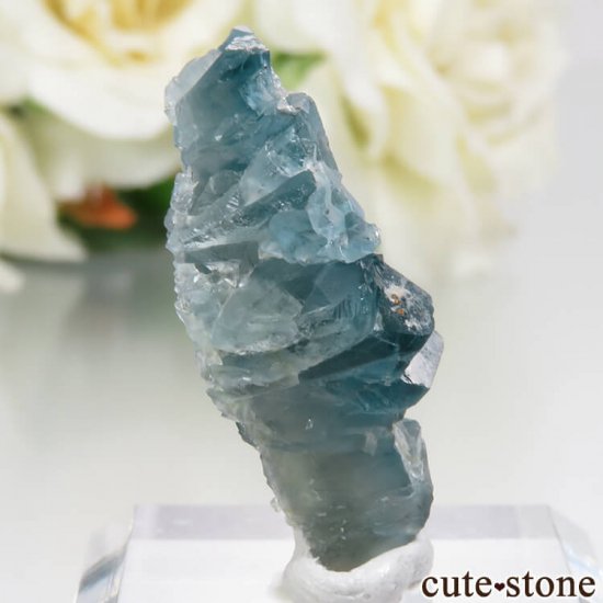 ե Fontsante Mine ֥롼ե饤Ȥθ No.17μ̿0 cute stone
