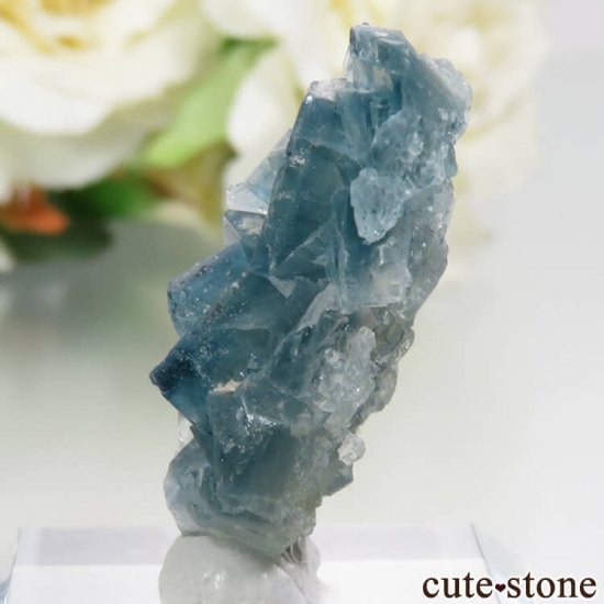 ե Fontsante Mine ֥롼ե饤Ȥθ No.17μ̿1 cute stone