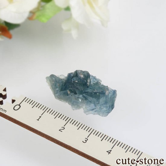 ե Fontsante Mine ֥롼ե饤Ȥθ No.17μ̿2 cute stone