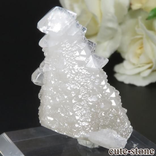  ̾ Fengjiashan Mine 륵Ȥθ No.2μ̿0 cute stone