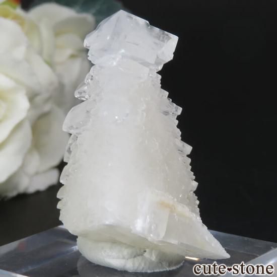  ̾ Fengjiashan Mine 륵Ȥθ No.4μ̿1 cute stone