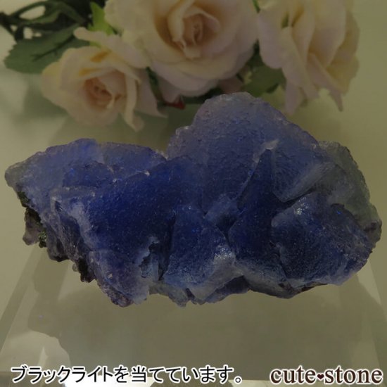 󥴥뼫 Yindu Ag-Pb-Zn deposit ե饤Ȥθ No.8μ̿4 cute stone