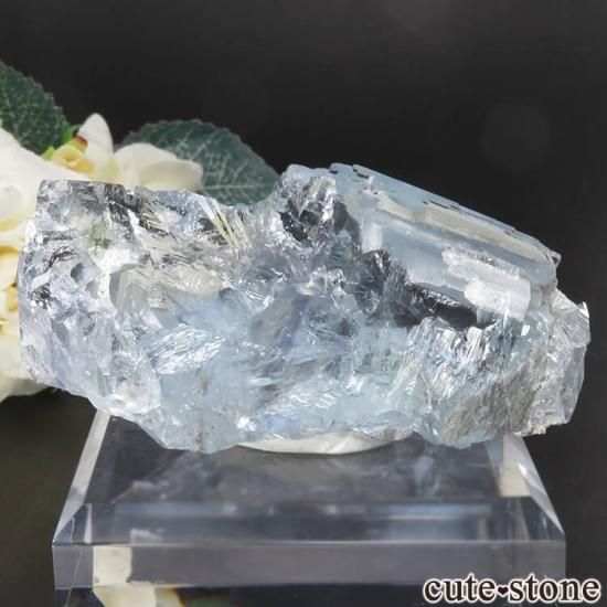  ʡ Ի ֥롼ե饤Ȥθ No.1μ̿1 cute stone