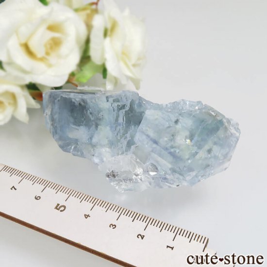  ʡ Ի ֥롼ե饤Ȥθ No.1μ̿3 cute stone