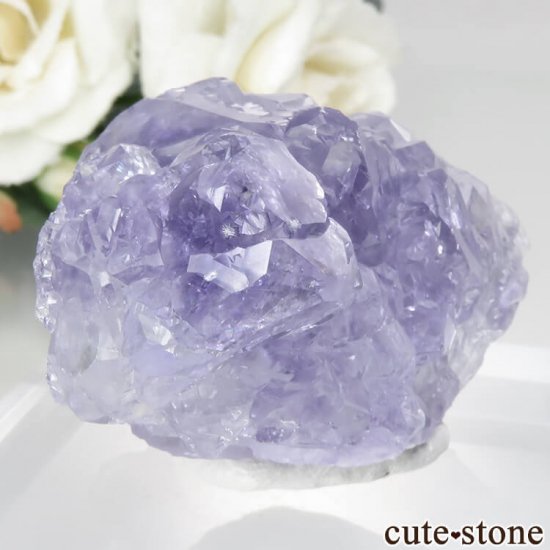  ʡ Ի ѡץե饤Ȥθ No.34μ̿0 cute stone
