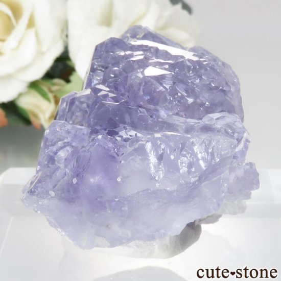  ʡ Ի ѡץե饤Ȥθ No.34μ̿2 cute stone