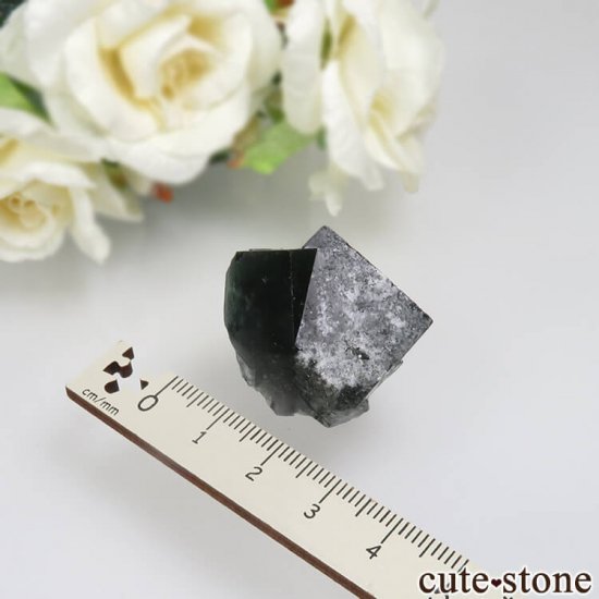 Diana Mariaۻ Milky Way Pocket ָե饤Ȥθ No.1μ̿3 cute stone