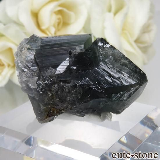 Diana Mariaۻ Milky Way Pocket ָե饤ȡĤθ No.3μ̿1 cute stone