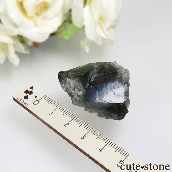 Diana Mariaۻ Milky Way Pocket ָե饤ȡĤθ No.3μ̿3 cute stone