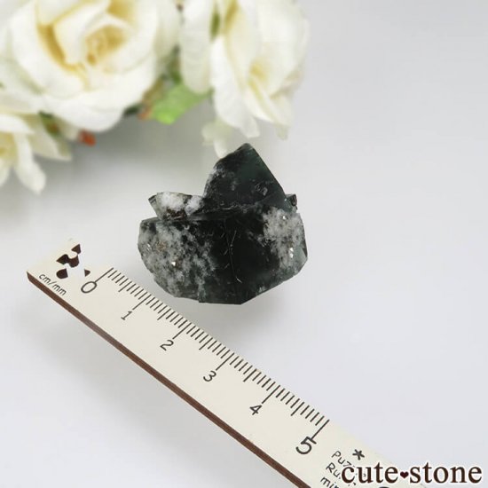 Diana Mariaۻ Milky Way Pocket ָե饤Ȥθ No.4μ̿3 cute stone