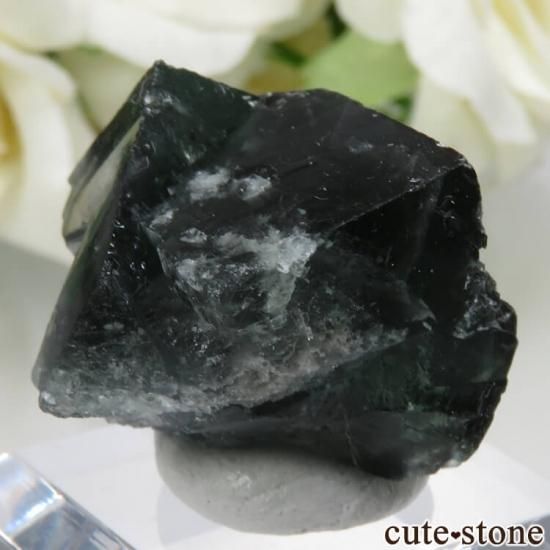 Diana Mariaۻ Milky Way Pocket ָե饤Ȥθ No.6μ̿1 cute stone