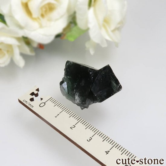 Diana Mariaۻ Milky Way Pocket ָե饤Ȥθ No.6μ̿3 cute stone