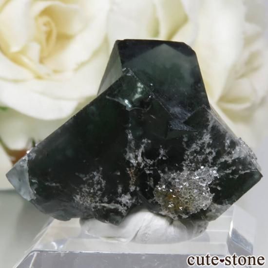 Diana Mariaۻ Milky Way Pocket ָե饤ȡĤθ No.8μ̿0 cute stone