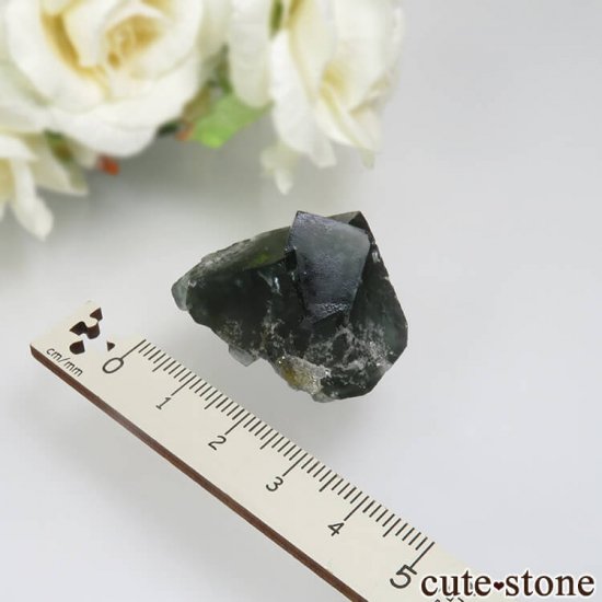 Diana Mariaۻ Milky Way Pocket ָե饤ȡĤθ No.8μ̿3 cute stone