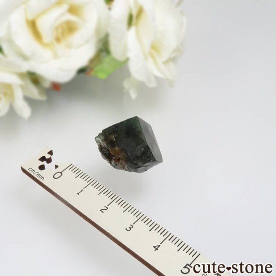 Diana Mariaۻ Milky Way Pocket ָե饤Ȥθ No.9μ̿3 cute stone