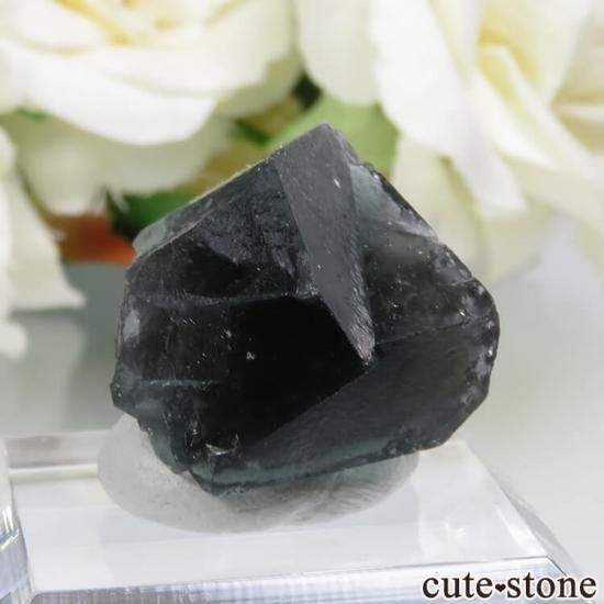 Diana Mariaۻ Milky Way Pocket ָե饤ȡĤθ No.10μ̿1 cute stone