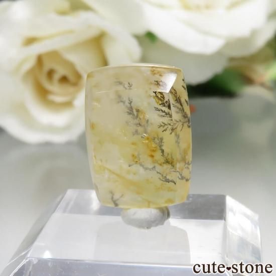 ֥饸뻺 ǥɥƥåĤΥ롼 No.22μ̿1 cute stone