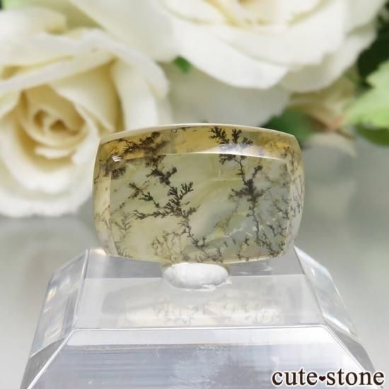 ֥饸뻺 ǥɥƥåĤΥ롼 No.23μ̿1 cute stone