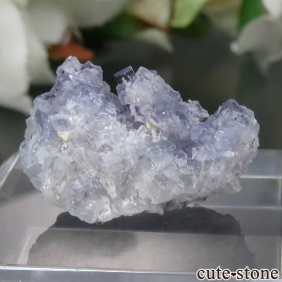 ꥫ ɽ Detroit City Mine ե饤ȡĤθ No.1μ̿1 cute stone