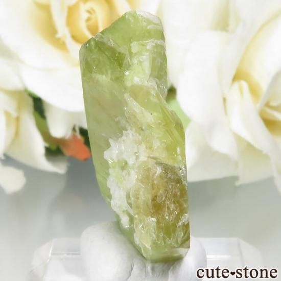 ѥ Tormiq valley եʥʥȡ˸ No.22μ̿1 cute stone