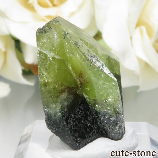 ѥ Tormiq valley եʥʥȡ˸ No.25μ̿0 cute stone