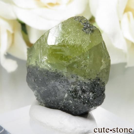 ѥ Tormiq valley եʥʥȡ˸ No.25μ̿1 cute stone