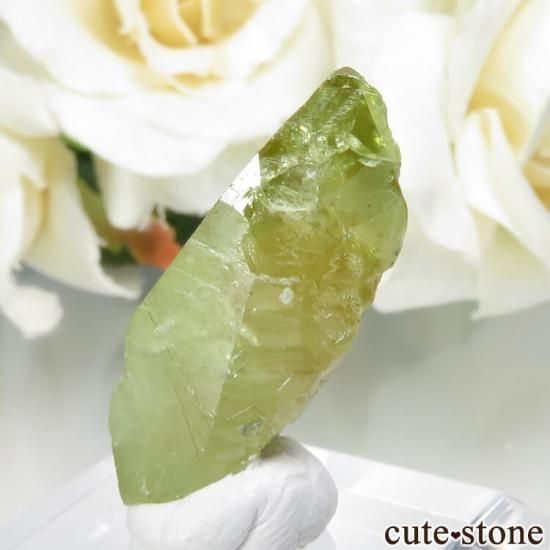 ѥ Tormiq valley եʥʥȡ˸ No.26μ̿1 cute stone