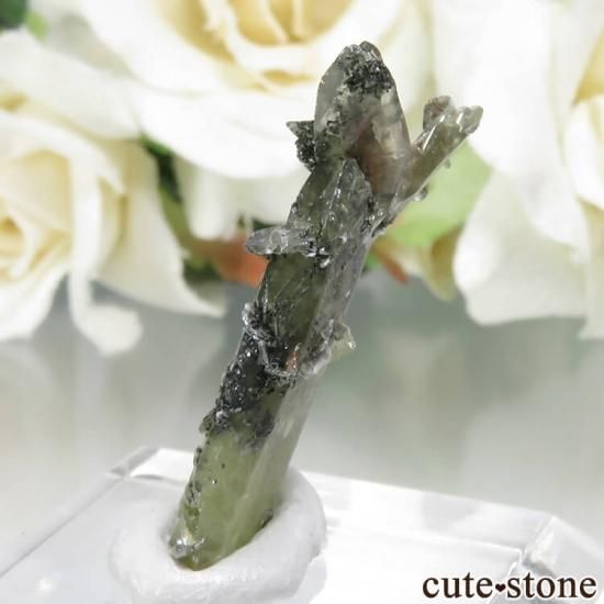 パキスタン Tormiq valley産 スフェーン(チタナイト)&モスコバイト原石 No.28の写真1 cute stone