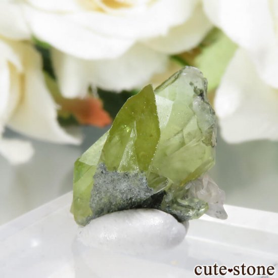 ѥ Tormiq valley եʥʥȡˡ륵Ȥθ No.30μ̿1 cute stone