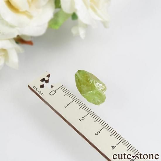 ѥ Tormiq valley եʥʥȡ˸ No.32μ̿2 cute stone