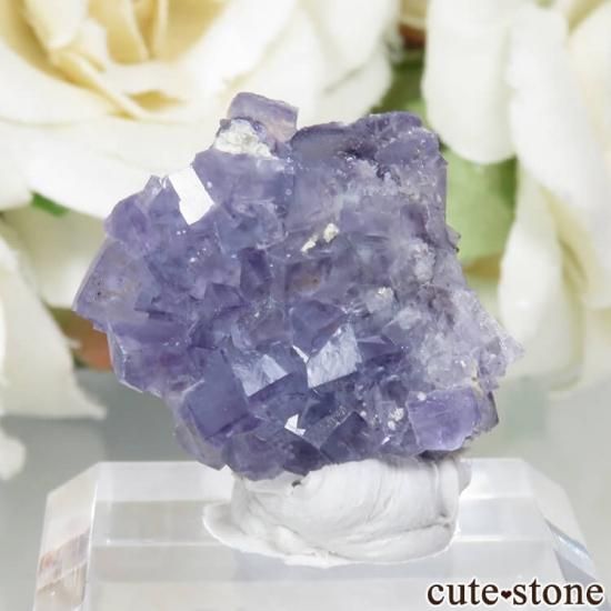 フランス Saint-Peray産 パープルブルーフローライトの原石 No.20の写真0 cute stone