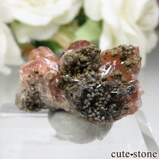 ᥭ Santa Eulalia ɥȤη뾽ʸСNo.3μ̿2 cute stone