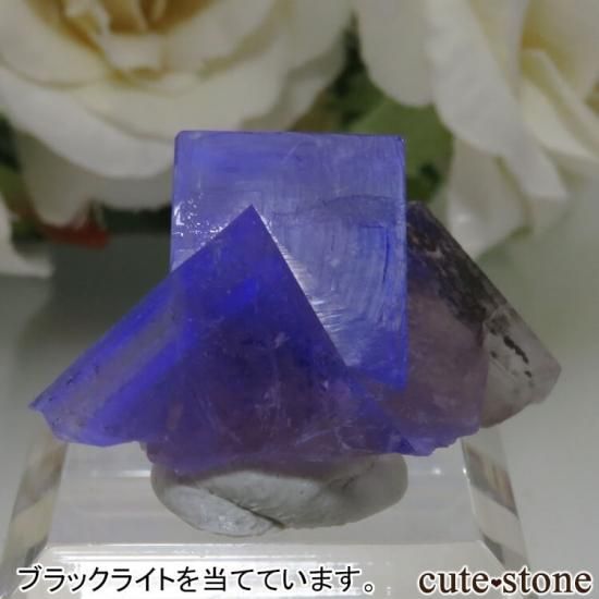 レディアナベラ Sherry Twins Pocket産 フローライトの結晶