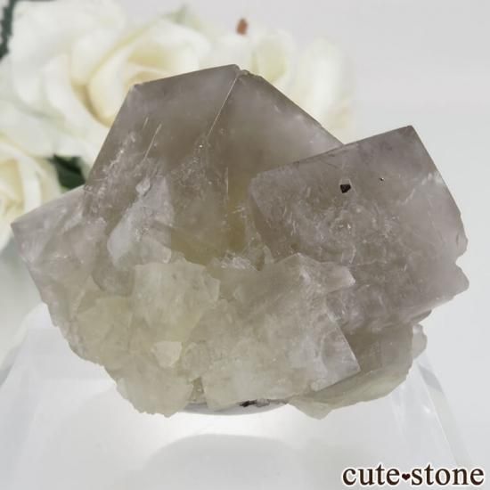 ǥʥ٥ Sherry Twins Pocket ե饤Ȥη뾽ʸСNo.4μ̿1 cute stone