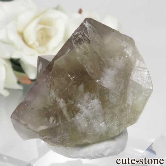 ǥʥ٥ Sherry Twins Pocket ե饤Ȥη뾽ʸСNo.5μ̿1 cute stone