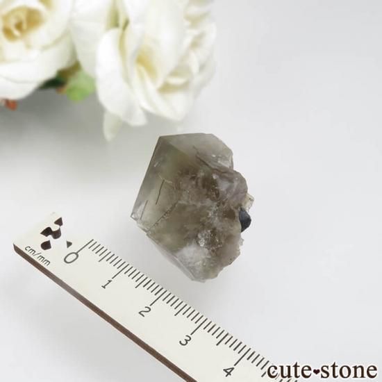 レディアナベラ Sherry Twins Pocket産 フローライトの結晶(原石)No.6の写真3 cute stone