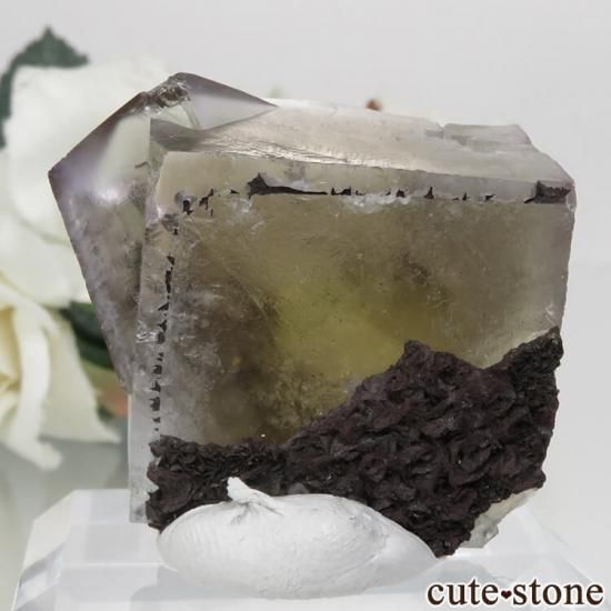 ǥʥ٥ Sherry Twins Pocket ե饤Ȥη뾽ʸСNo.7μ̿1 cute stone