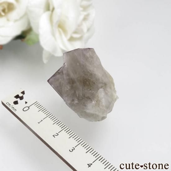 ǥʥ٥ Sherry Twins Pocket ե饤Ȥη뾽ʸСNo.9μ̿3 cute stone