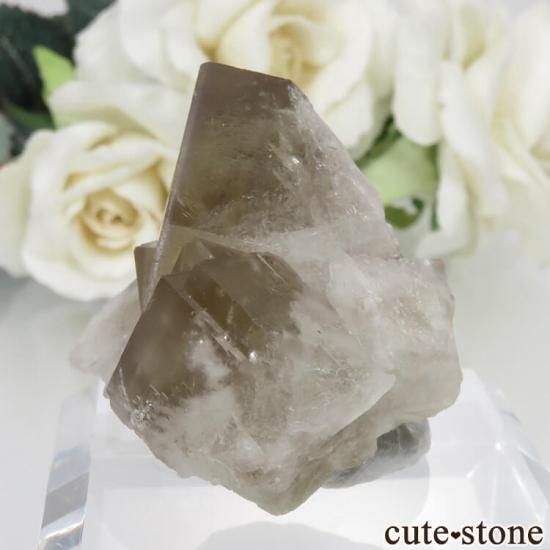 ǥʥ٥ Sherry Twins Pocket ե饤Ȥη뾽ʸСNo.10μ̿1 cute stone