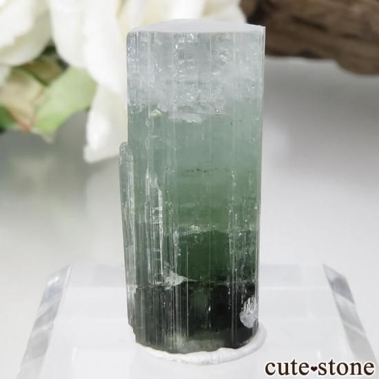 【パキスタン産】グリーントルマリン結晶 原石 結晶 キスタン産トルマリン gcupe14 11.50ct | ぼっちの