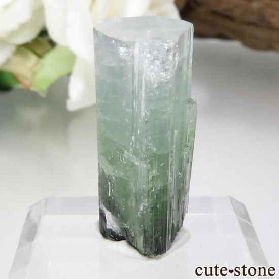 ѥ Stak Nala ꡼ȥޥη뾽 No.15μ̿1 cute stone