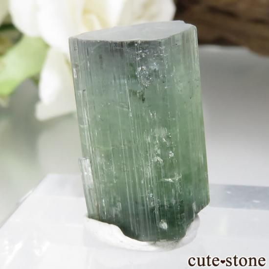 ѥ Stak Nala ꡼֥롼꡼ȥޥη뾽 No.16μ̿0 cute stone