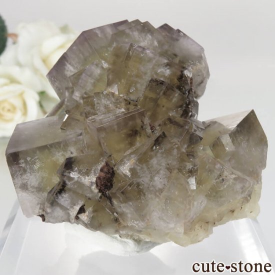 レディアナベラ Harvest Pocket産 フローライトの結晶（原石）No.1の画像 cute stone