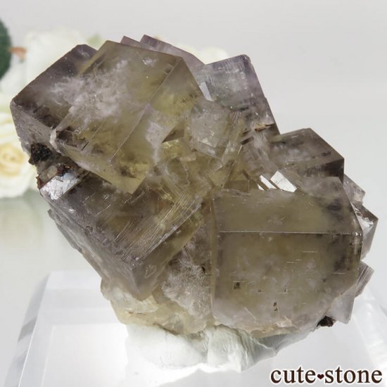 レディアナベラ Harvest Pocket産 フローライトの結晶（原石）No.1の写真0 cute stone