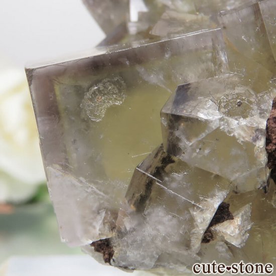 レディアナベラ Harvest Pocket産 フローライトの結晶（原石）No.1の写真3 cute stone